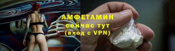 молекула духа Осинники